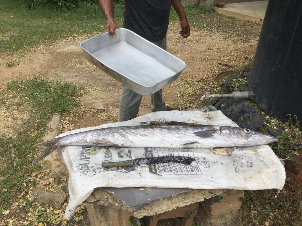 Tranquality Chalets Tangalle Εξωτερικό φωτογραφία